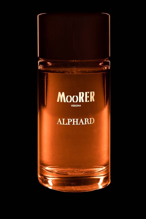 MooRER parfum alphard neutraal Heren accessoire 6660H237