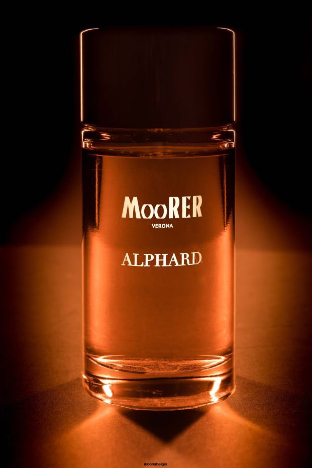 MooRER parfum alphard neutraal Heren accessoire 6660H237